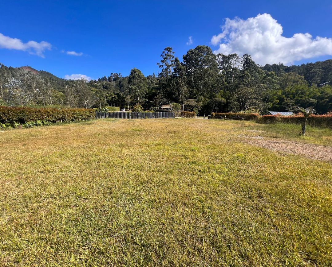 Don Diego , Llanogrande