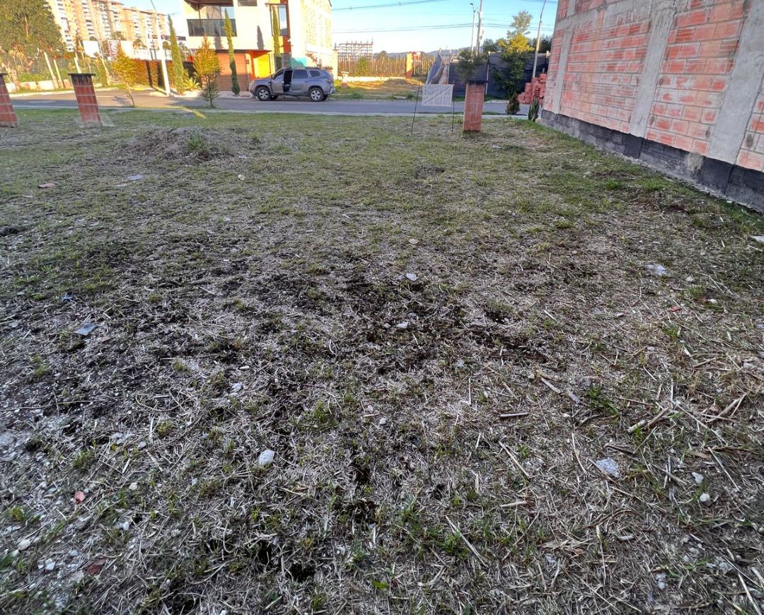 Lote San Antonio , Pietra Santa Campestre