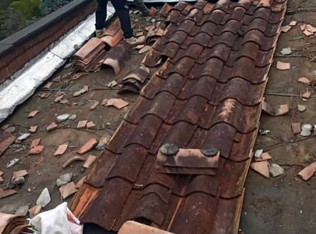 Restauración y mantenimientos